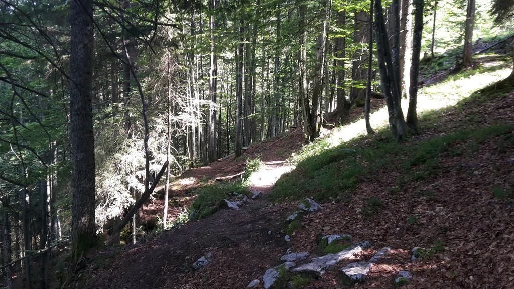 Postalm Lodge Seidegg Екстер'єр фото
